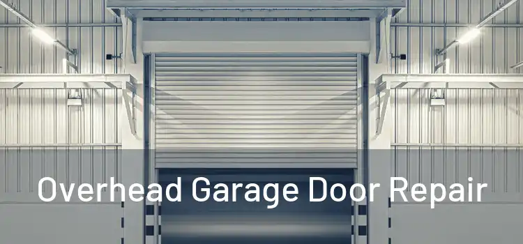 Overhead Garage Door Repair